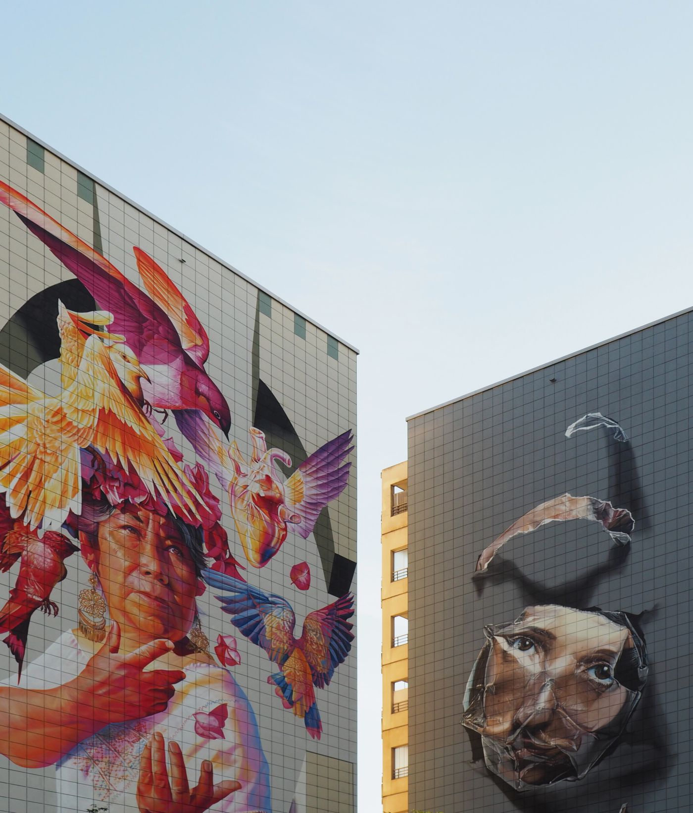 Large painted portraits and birds on the side wall of a residential building